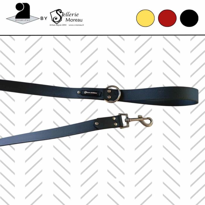 Laisse de chien Biothane – Image 1