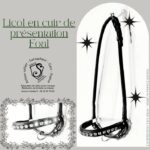 Licol en cuir de presentation Foal