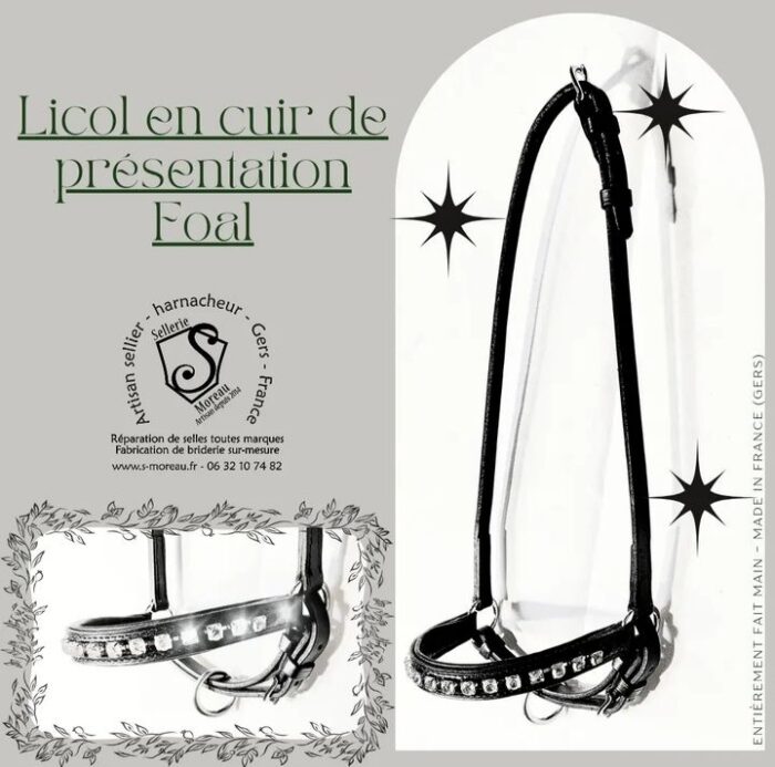 Licol en cuir de presentation Foal – Image 1