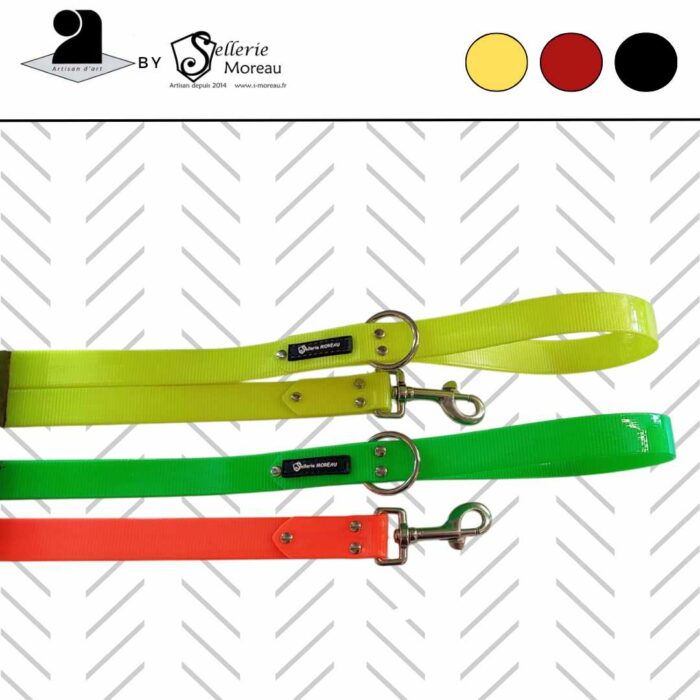 Laisse de chien Fluo – Image 1