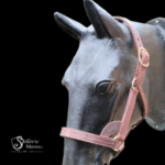 Licol Half-Moon