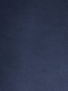BLEU NUIT