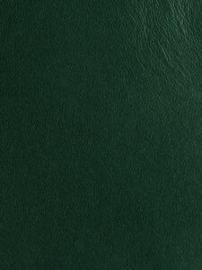 VERT