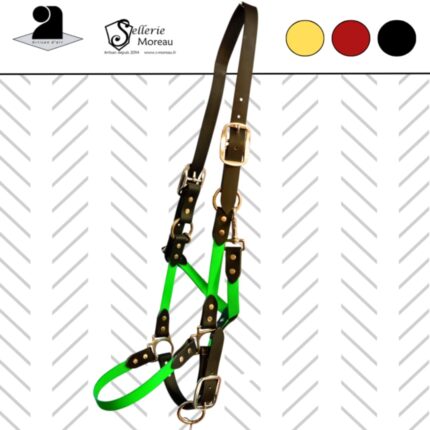 LICOL WATERPROOF2 NOIR/VERT