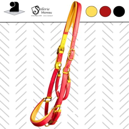 LICOL HYBRIDE ESPAGNOL